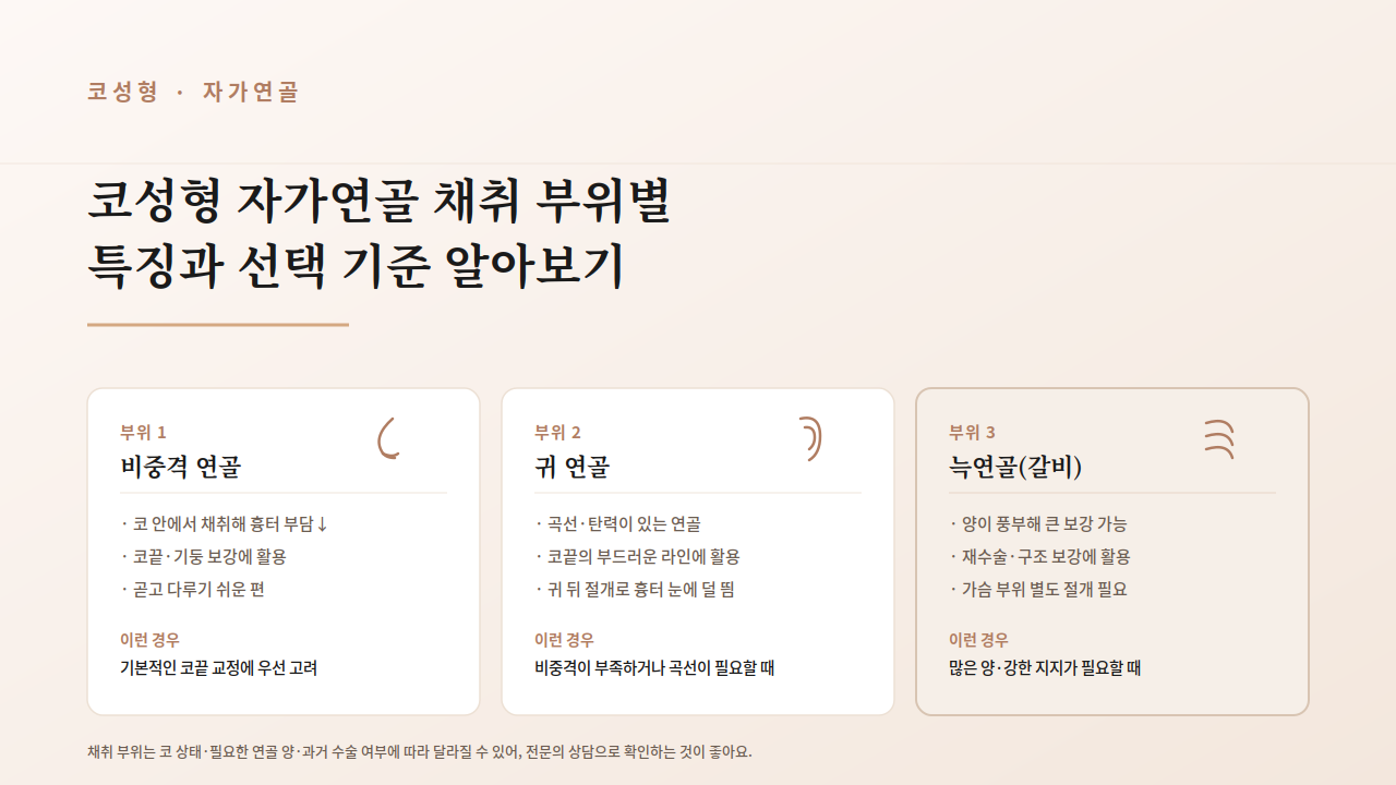 코성형 자가연골 채취 부위별 특징과 선택 기준 알아보기